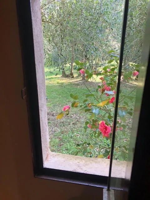 Agriturismo La Pieve Colle Val D'Elsa