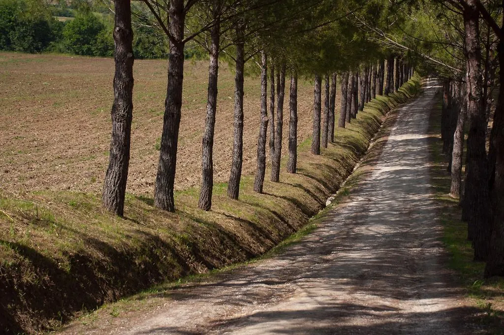 Agriturismo La Pieve Colle Val D'Elsa Italy