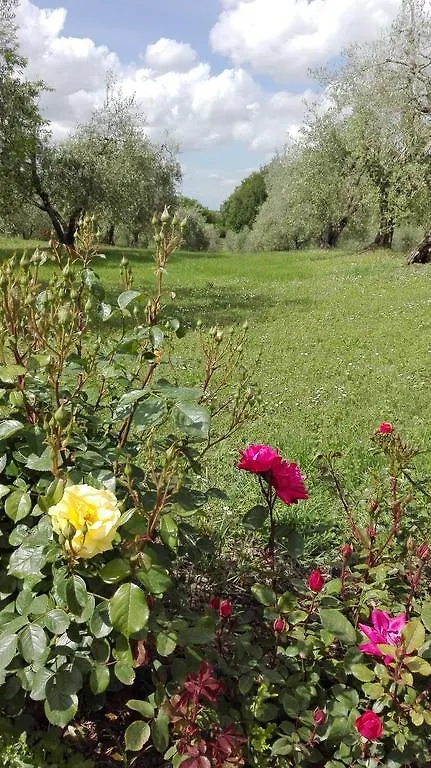 Agriturismo La Pieve Colle Val D'Elsa Farm stay